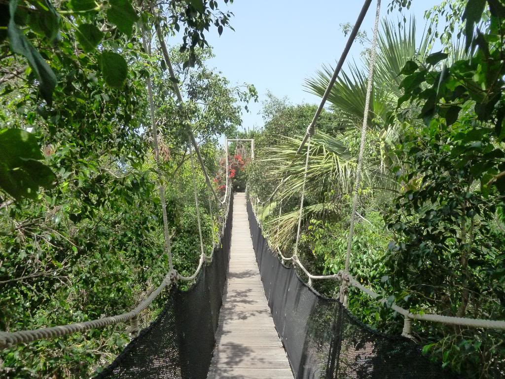 Jungle Park, uno splendido parco zoologico e botanico nel sud di Tenerife Jungle Park Tenerife
