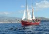 Whale watching a Tenerife: vedere balene e delfini in modo responsabile