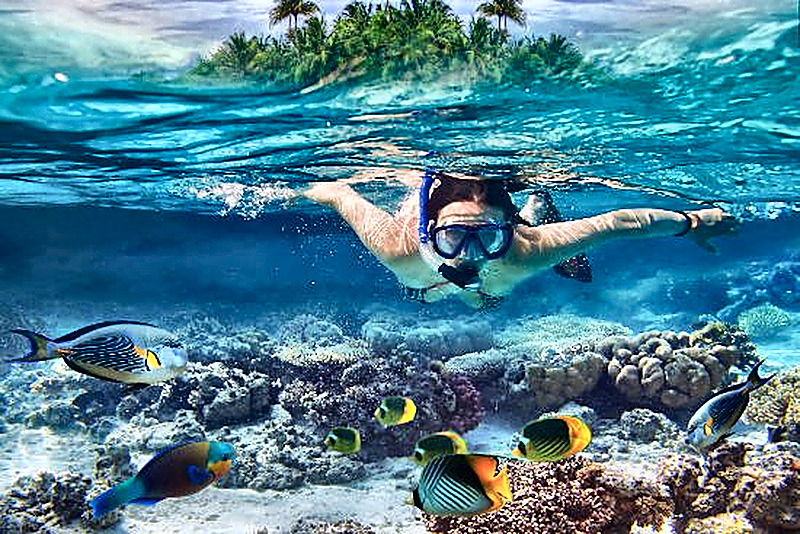 Snorkeling