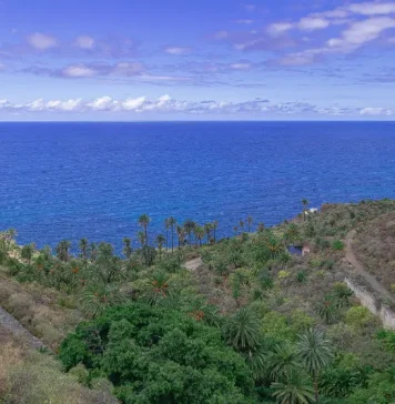 Le passeggiate costiere più belle di Tenerife: 8 percorsi vista oceano