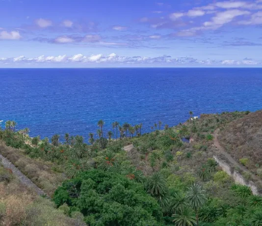 Le passeggiate costiere più belle di Tenerife: 8 percorsi vista oceano