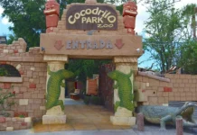 Cocodrilo Park Gran Canaria: Guida per una Visita Indimenticabile tra Natura e Avventura