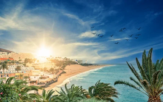 Pensione a Fuerteventura: 11 motivi per scegliere l’isola, documenti e zone migliori dove vivere