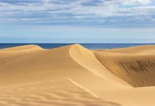 Dune di Maspalomas: come visitarle e cosa vedere