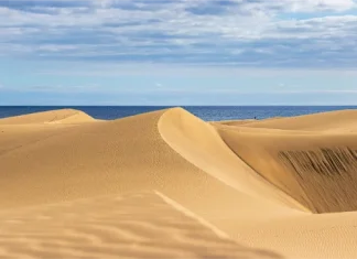 Dune di Maspalomas: come visitarle e cosa vedere