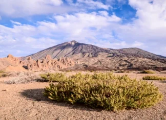 Grotte e vulcani di Tenerife: itinerario nella geologia dell’isola