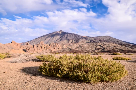 Parco Nazionale del Teide a Tenerife