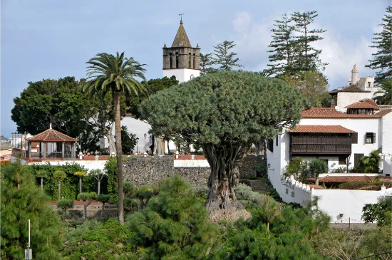 Parque del Drago Milenario a Icod de los Vinos