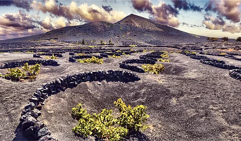 Paesaggio vinicolo di Lanzarote