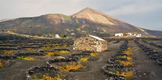 La Geria a Lanzarote: itinerario tra vigneti vulcanici, cantine e paesaggi unici