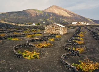 La Geria a Lanzarote: itinerario tra vigneti vulcanici, cantine e paesaggi unici