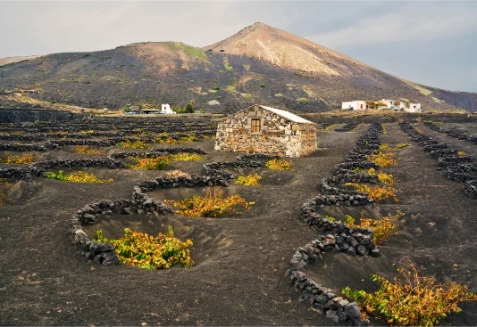 La Geria a Lanzarote: itinerario tra vigneti vulcanici, cantine e paesaggi unici