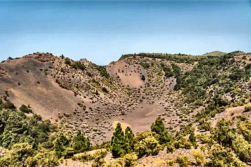 Bosco e vegetazione dell’altopiano di El Hierro