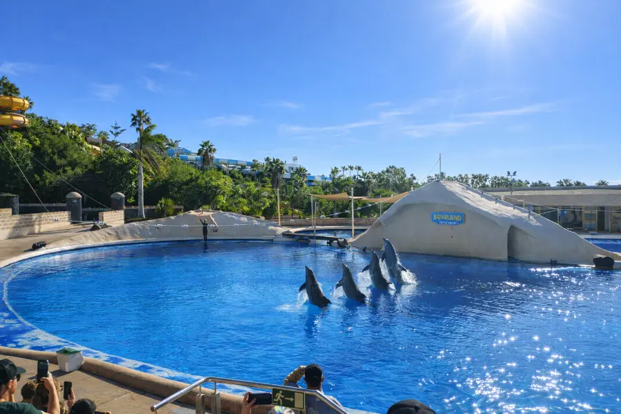 Delfini Aqualand Costa Adeje, Tenerife