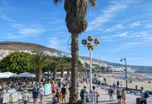 Tenerife con il cane: spiagge, passeggiate, alloggi e regole pratiche