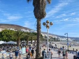 Tenerife con il cane: spiagge, passeggiate, alloggi e regole pratiche