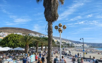Tenerife con il cane: spiagge, passeggiate, alloggi e regole pratiche