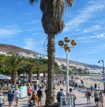 Tenerife con il cane: spiagge, passeggiate, alloggi e regole pratiche