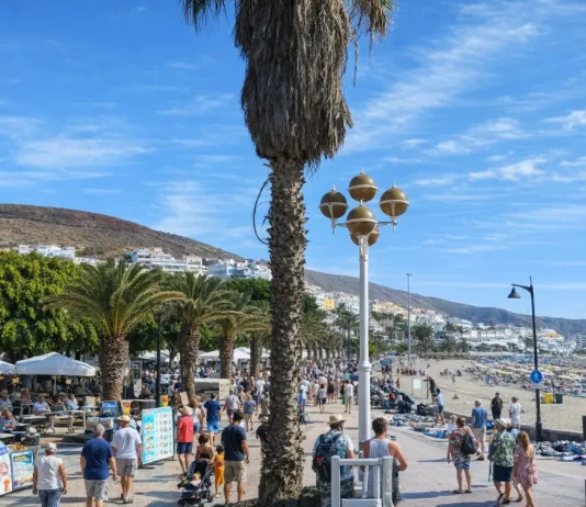 Tenerife con il cane: spiagge, passeggiate, alloggi e regole pratiche