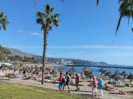 Tenerife accessibile: spiagge, trasporti e consigli per un viaggio inclusivo