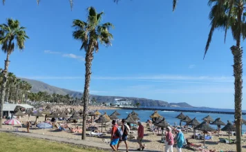 Tenerife accessibile: spiagge, trasporti e consigli per un viaggio inclusivo